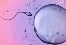 اكتشف العلماء الحيوانات المنوية متجاهلين قانونًا رئيسيًا في الفيزياء: ScienceAlert