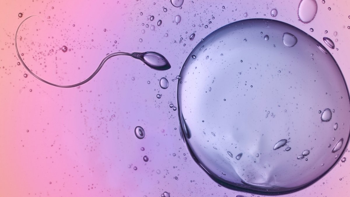 اكتشف العلماء الحيوانات المنوية متجاهلين قانونًا رئيسيًا في الفيزياء: ScienceAlert 6 اكتشف العلماء الحيوانات المنوية متجاهلين قانونًا رئيسيًا في الفيزياء: ScienceAlert