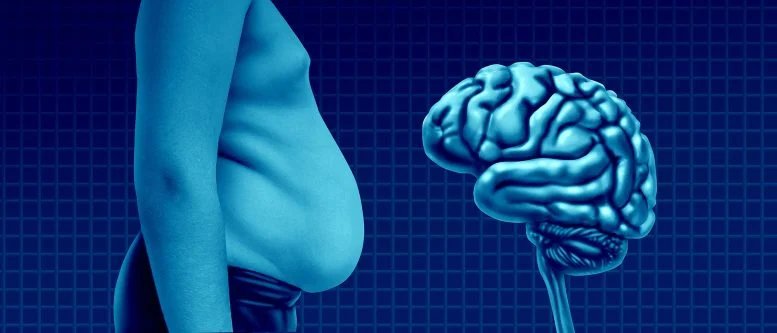 اكتشف العلماء الخلايا العصبية "ذاكرة الوجبات" التي تتحكم في متى وكم نأكل 1 السمنة الرجل السمين الدماغ