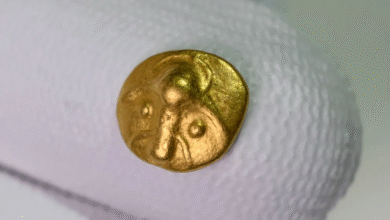 اكتشف صائد الكنوز عملة ذهبية سلتيكية نادرة عمرها 2200 عام 4 اكتشف صائد الكنوز عملة ذهبية سلتيكية نادرة عمرها 2200 عام