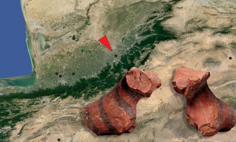 اكتشف علماء الآثار تمثال نمر عمره 5000 عام في إيران 1 اكتشف علماء الآثار تمثال نمر عمره 5000 عام في إيران