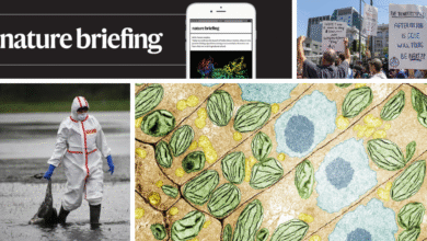 الإحاطة اليومية اللغة السرية للنباتات