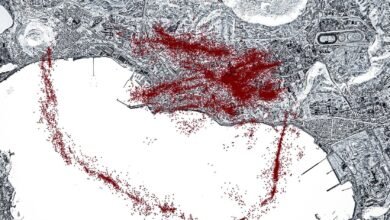 Map showing the locations of previously undetected earthquakes at Campi Flegrei. The earthquakes align along a clear fault shaped like a ring.