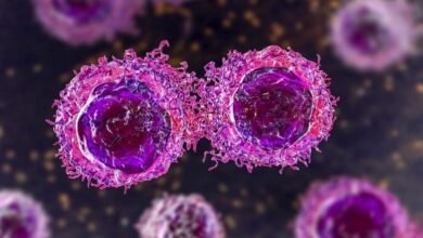 العلماء يتخلصون تمامًا من سرطان الدم في النموذج قبل السريري