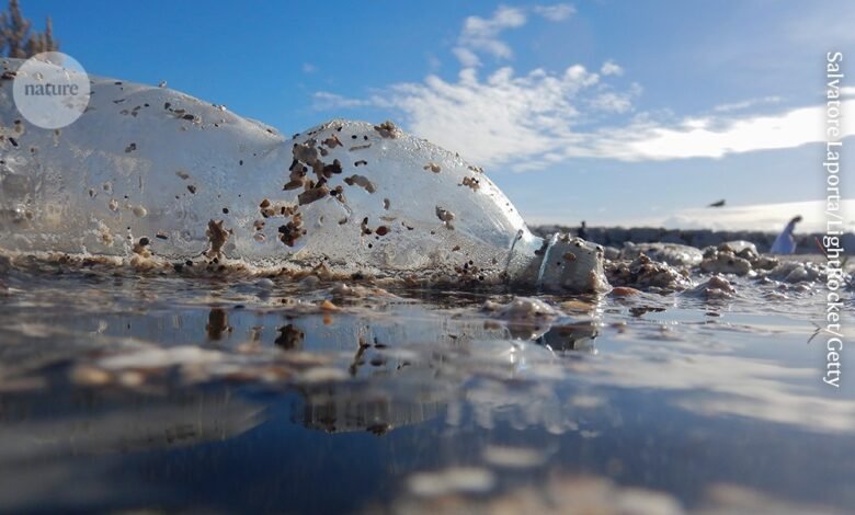 العناصر الأساسية المفقودة من محادثات معاهدة البلاستيك 1 العناصر الأساسية المفقودة من محادثات معاهدة البلاستيك