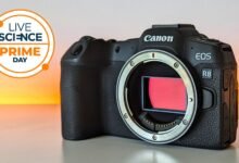 الفرصة الأخيرة! لا تزال كاميرا Canon EOS R8 هي الأرخص في Walmart — في الوقت المناسب تمامًا لأشجار البرشاويات والحياة البرية في أواخر الصيف