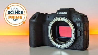 الفرصة الأخيرة! لا تزال كاميرا Canon EOS R8 هي الأرخص في Walmart — في الوقت المناسب تمامًا لأشجار البرشاويات والحياة البرية في أواخر الصيف