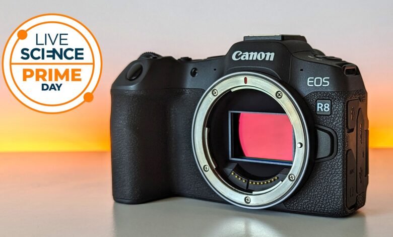 الفرصة الأخيرة! لا تزال كاميرا Canon EOS R8 هي الأرخص في Walmart — في الوقت المناسب تمامًا لأشجار البرشاويات والحياة البرية في أواخر الصيف 1 الفرصة الأخيرة! لا تزال كاميرا Canon EOS R8 هي الأرخص في Walmart — في الوقت المناسب تمامًا لأشجار البرشاويات والحياة البرية في أواخر الصيف
