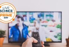 الفرصة الأخيرة للحصول على صفقة البث عبر Prime Day - احصل على خصم يصل إلى 90% واستمتع بجميع عروض الخيال العلمي والحياة البرية المفضلة لديك مقابل جزء بسيط من التكلفة