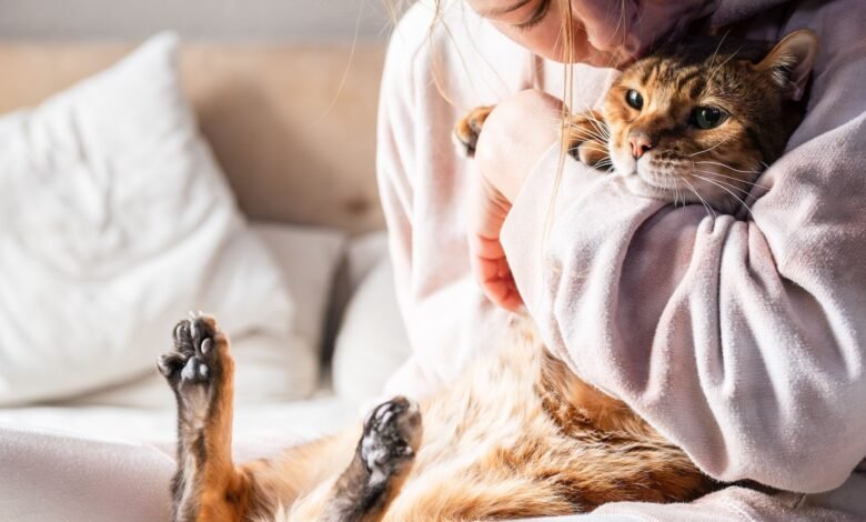 a woman hugs a cat