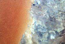 A satellite photo showing the stark contrast between a field of orange star dunes and a barren rocky wilderness split half-and-half across the image