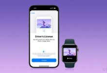 تفاصيل Apple Pay VP عن ميزات Wallet وApple Pay الجديدة والمعرفات الرقمية والمزيد