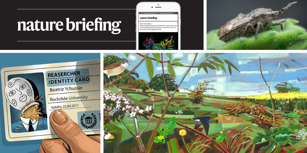 تقوم الحشرات النتنة بتغذية الفطريات في العضو المكتشف حديثًا