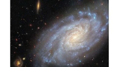تلسكوب هابل يلتقط صورا عالية الدقة لمجرة حلزونية في كوكبة الأسد (صور) 5 تلسكوب هابل يلتقط صورا عالية الدقة لمجرة حلزونية في كوكبة الأسد (صور)