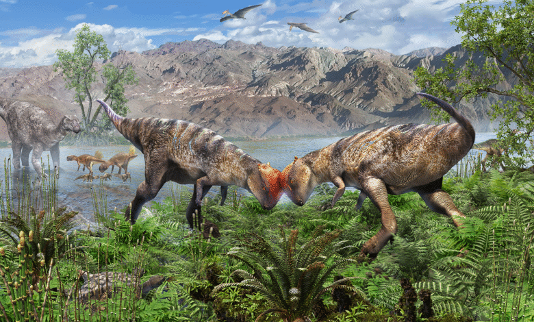 Artist's reconstrution of the pachycephalosaur.