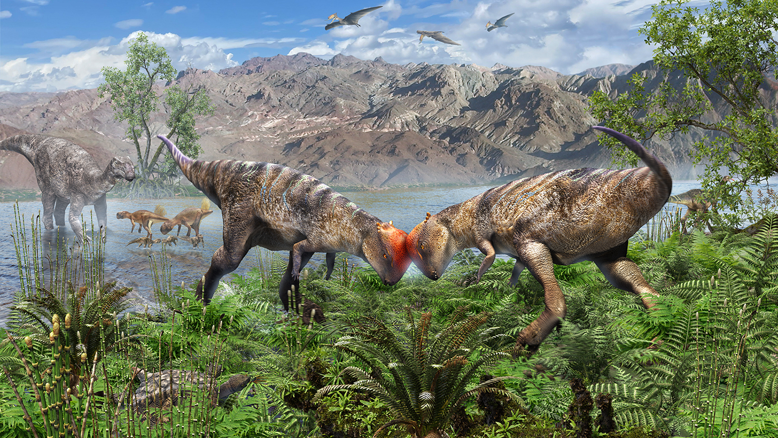 Artist's reconstrution of the pachycephalosaur.