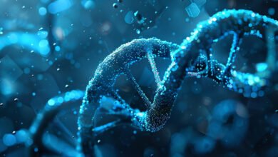 تم اكتشاف اللغة الهندسية السرية التي يفكر ويتذكر بها الحمض النووي.