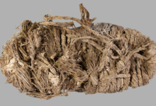 remains of a medieval shoe made out of grass rope