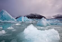 Icebergs floating near face of Sveabreen Glacier in Nordfjorden.