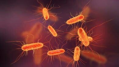 تم تسمية البلدان التي لديها أكبر خطر لاستيراد البكتيريا الخارقة