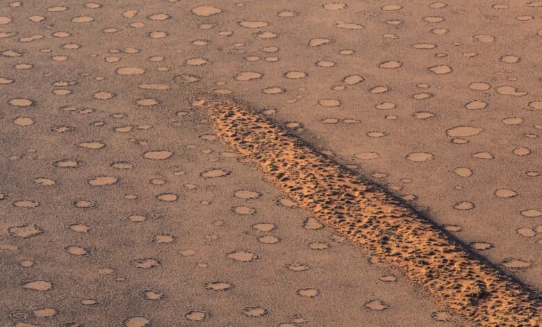 تنظم النباتات نفسها ذاتيًا في "ترتيب خفي"، وهو نمط يردد صدى موجود في الطبيعة 1 Aerial view of fairy circles in the Namib Naukluft Park, Namibia