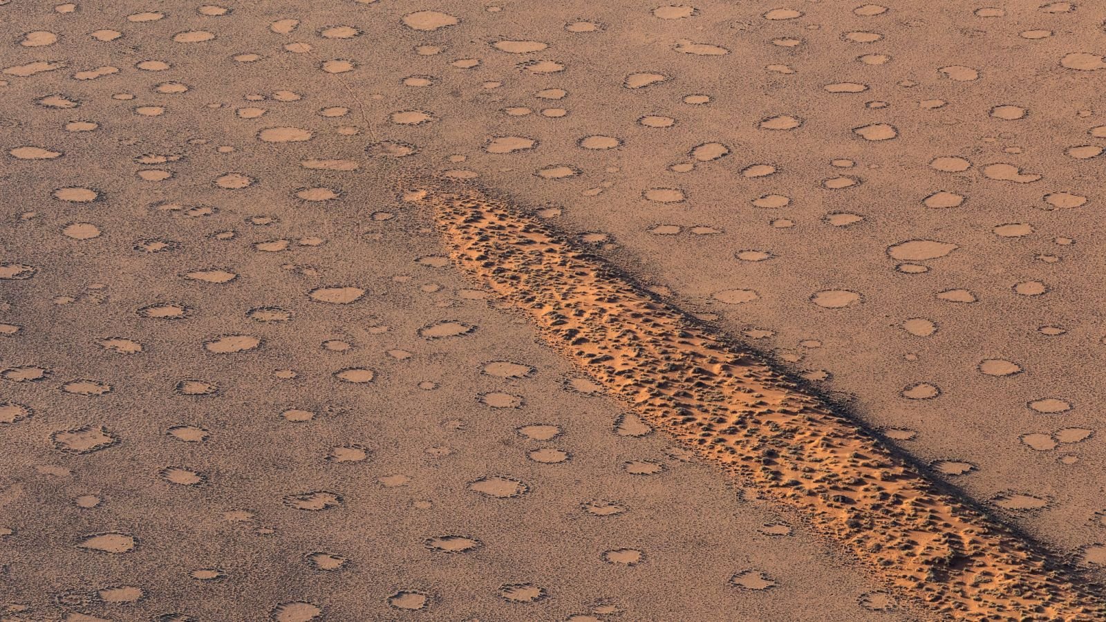 تنظم النباتات نفسها ذاتيًا في "ترتيب خفي"، وهو نمط يردد صدى موجود في الطبيعة 3 Aerial view of fairy circles in the Namib Naukluft Park, Namibia