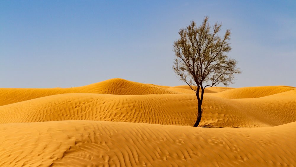 توقعات بمستقبل ممطر للصحراء - علوم: أخبار ومقاطع فيديو 3 توقعات بمستقبل ممطر للصحراء - علوم: أخبار ومقاطع فيديو