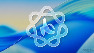 تُصدر Apple مجموعة بيانات ضخمة للذكاء الاصطناعي لأبحاث تحرير الصور 3 تُصدر Apple مجموعة بيانات ضخمة للذكاء الاصطناعي لأبحاث تحرير الصور