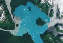 A satellite photograph of Alsek Lake and the new island of Prow Knob as Alsek Glacier retreats.