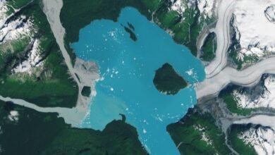 A satellite photograph of Alsek Lake and the new island of Prow Knob as Alsek Glacier retreats.