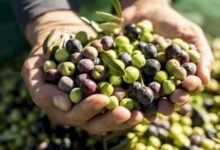 ترامب: سنشهد قريباً عملاً على الأرض في فنزويلا