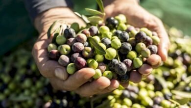 ترامب: سنشهد قريباً عملاً على الأرض في فنزويلا