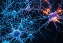 خلية عصبية اصطناعية جديدة تقلل استهلاك الطاقة وتحاكي الدماغ البشري