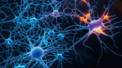 خلية عصبية اصطناعية جديدة تقلل استهلاك الطاقة وتحاكي الدماغ البشري