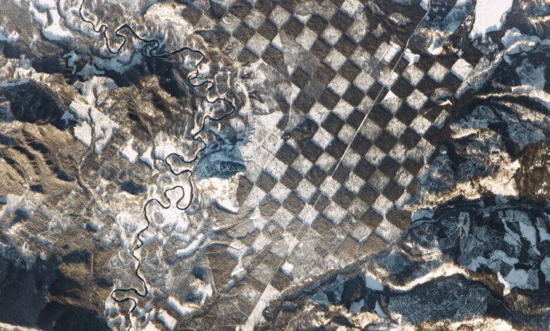 "رقعة شطرنج" عملاقة تحيط بنهر أيداهو في صورة غريبة لرائد فضاء - الأرض من الفضاء 1 A satellite photo of a chessboard -like pattern in a forest in Idaho