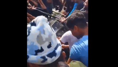 سمكة قرش حوت شوهدت قبالة سواحل إسرائيل وتم اصطيادها في قطاع غزة (فيديو)
