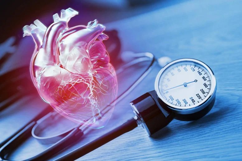 طريقة جديدة رائدة لقياس ضغط الدم يمكن أن تنقذ حياة الآلاف 3 قياس ضغط الدم لأمراض القلب