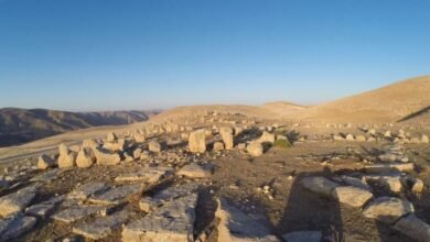 موقع المريجات