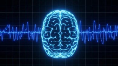 موجات تذبذبات الدماغ