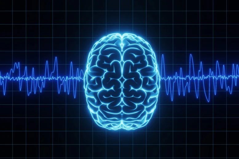 موجات تذبذبات الدماغ