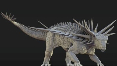 An artistic reconstruction of the Spicomellus after, whose skeleton was covered in spikes, some fused to the animal’s skeleton, measuring as much as a metre long