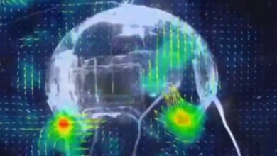 غير مرئي في الماء: ابتكر العلماء الصينيون قنديل بحر آليًا لاستكشاف المحيطات 11 غير مرئي في الماء: ابتكر العلماء الصينيون قنديل بحر آليًا لاستكشاف المحيطات