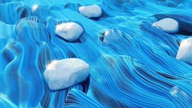 an illustration of fluid blue lines floating over rocks