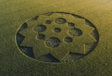 An aerial photograph of a crop circle design
