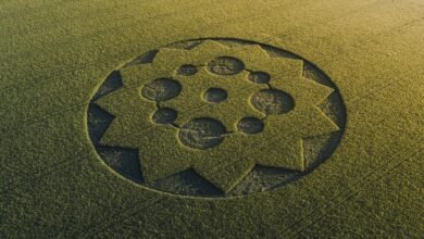 An aerial photograph of a crop circle design