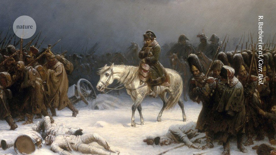 كيف واجه جيش نابليون هلاكه: يكشف الحمض النووي أن الأمراض المفاجئة كان لها دور 3 كيف واجه جيش نابليون هلاكه: يكشف الحمض النووي أن الأمراض المفاجئة كان لها دور