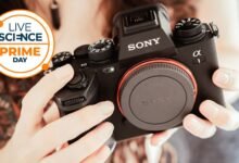لا تفوت خصمًا يزيد عن 1400 دولارًا على Sony A1. تبقى ستة فقط، وليس على أمازون!