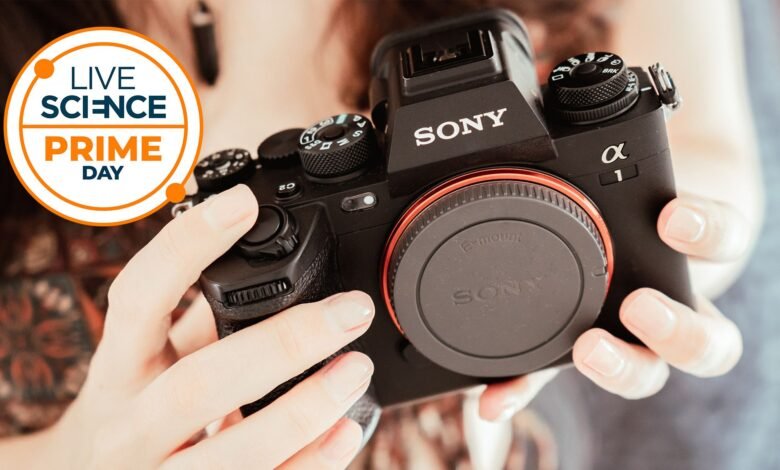 لا تفوت خصمًا يزيد عن 1400 دولارًا على Sony A1. تبقى ستة فقط، وليس على أمازون!
