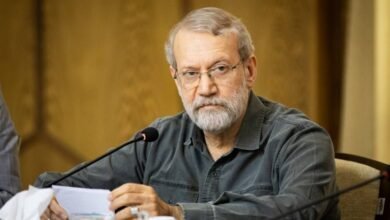 لاريجاني علينا تجاوز الخلافات والسعي لتعزيز اللحمة الوطنية