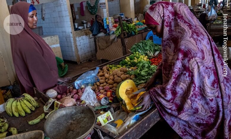 لقد عاد شبح سوء التغذية ويجب معالجته بسرعة 1 لقد عاد شبح سوء التغذية ويجب معالجته بسرعة